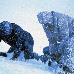 Foto Atirando para Matar