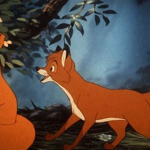 Foto O Cão e a Raposa