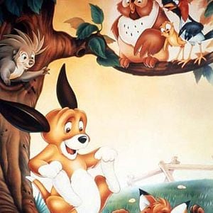 Foto O Cão e a Raposa