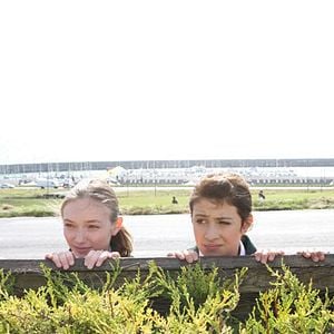 Foto Gatos, Fios Dentais e Amassos