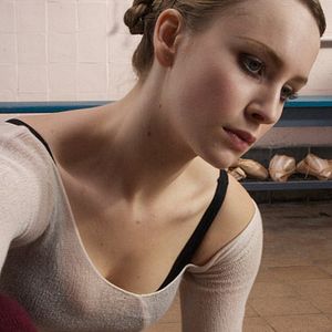 Foto Sujos e Sábios