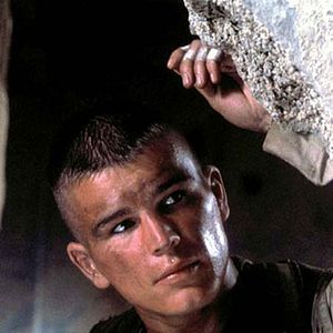 Foto Falcão Negro em Perigo