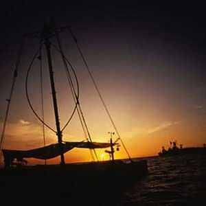 Foto Waterworld - O Segredo das Águas