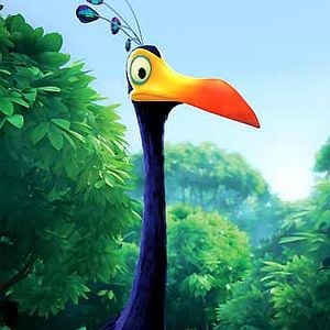 Foto Up - Altas Aventuras