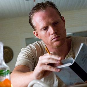 Foto A Vida Secreta das Abelhas