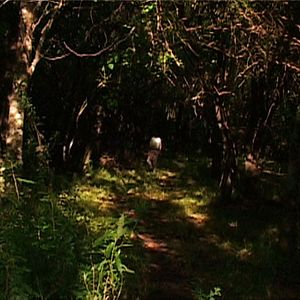 Foto Gustavo Fontán