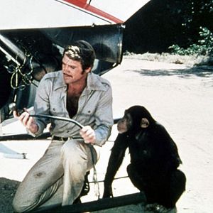 Foto The Six Million Dollar Man