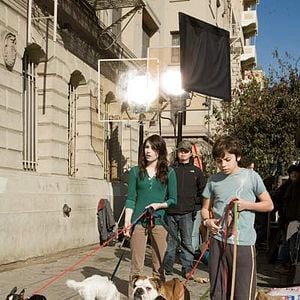 Foto Um Hotel Bom pra Cachorro