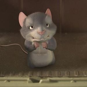 Foto O Ratinho Pérez 2