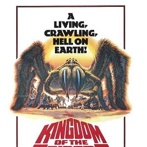 Foto A Maldição das Aranhas