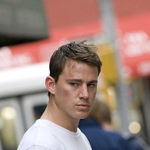 Foto Veia de Lutador