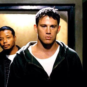 Foto Veia de Lutador