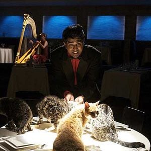 Foto Comendo pelas Beiradas