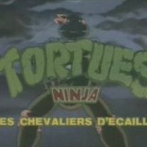 Foto As Tartarugas Ninja