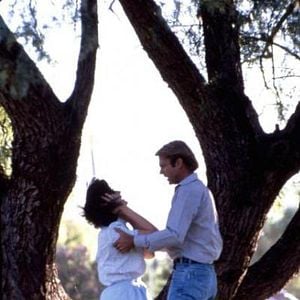 Foto Um Grito no Escuro