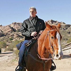 Foto Mark Harmon