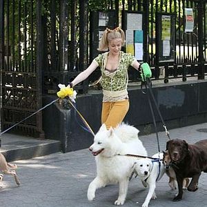 Foto Tudo Pode Dar Certo