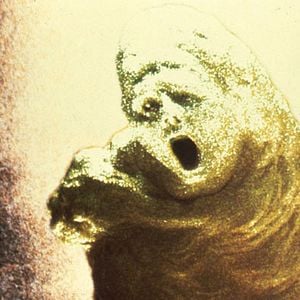 Foto Viagens Alucinantes