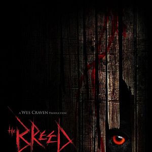 Foto Nicholas Mastandrea