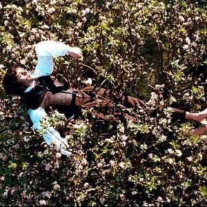 Foto Brilho de uma Paixão