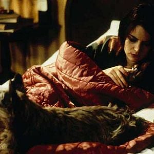 Foto O Círculo do Vício