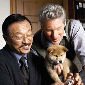 Foto Sempre ao Seu Lado