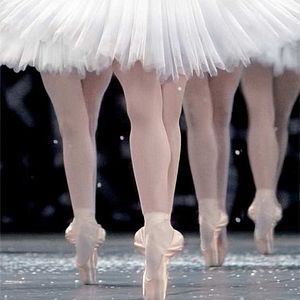 Foto Frederick Wiseman