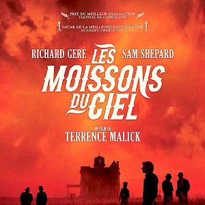 Foto Cinzas no Paraíso