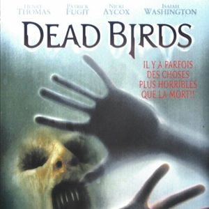 Foto A Casa dos Pássaros Mortos