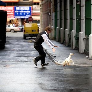 Foto O Bom Coração