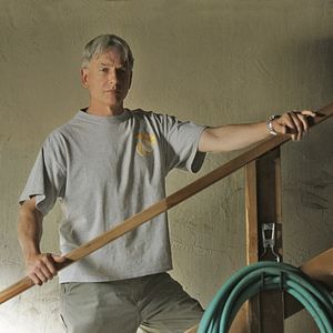 Foto Mark Harmon