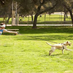 Foto Malcolm in the Middle