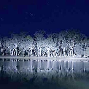 Foto Joel Anderson (II)