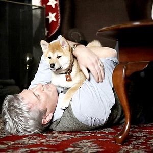 Foto Sempre ao Seu Lado