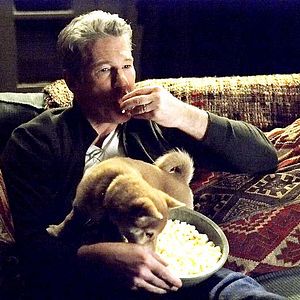 Foto Sempre ao Seu Lado