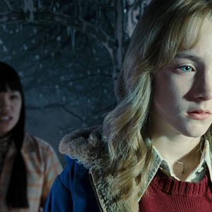 Foto Um Olhar do Paraíso