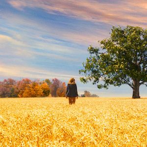 Foto Um Olhar do Paraíso