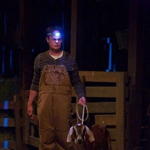 Foto The Office (US)