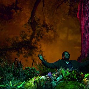 Foto Forest Whitaker