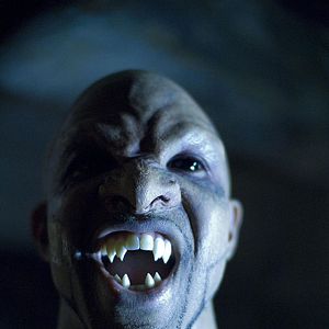 Foto Garotos Perdidos: A Tribo