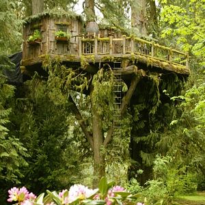 Foto Totalmente Sem Rumo 2 – Defensores da Natureza