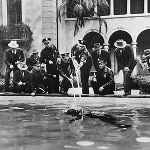 Foto Crepúsculo dos Deuses