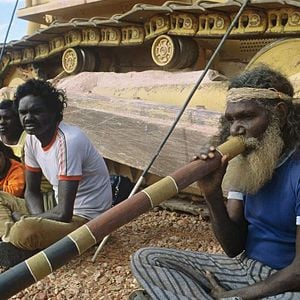 Foto Onde Sonham as Formigas Verdes