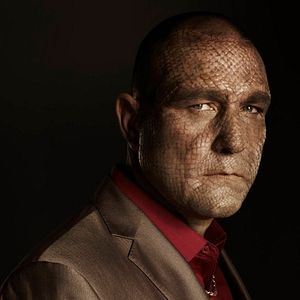 Foto Vinnie Jones