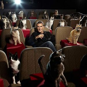 Foto Antonio Banderas