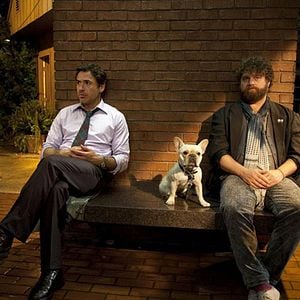 Foto Robert Downey Jr.