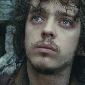 Foto No Fundo da Floresta