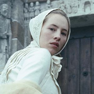 Foto No Fundo da Floresta