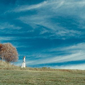 Foto No Fundo da Floresta