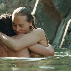 Foto No Fundo da Floresta